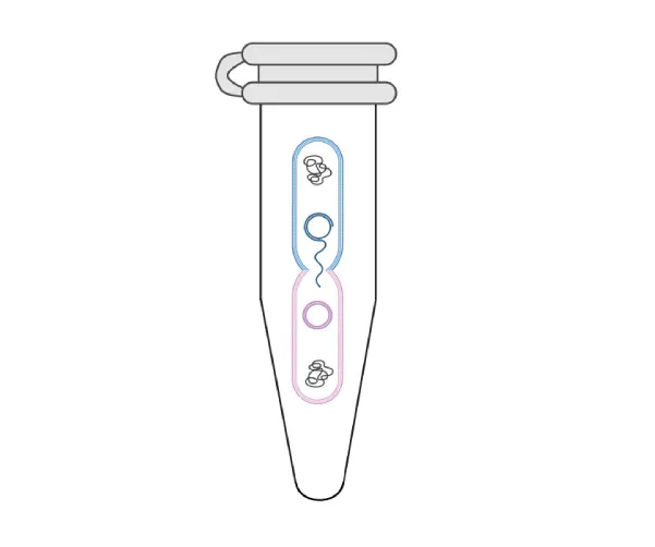 A drawing of a toothbrush with two different colors.